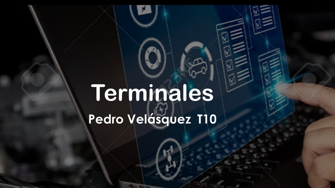 Operación de terminales Fin de semana T10 (Ing. Pedro Velásquez)